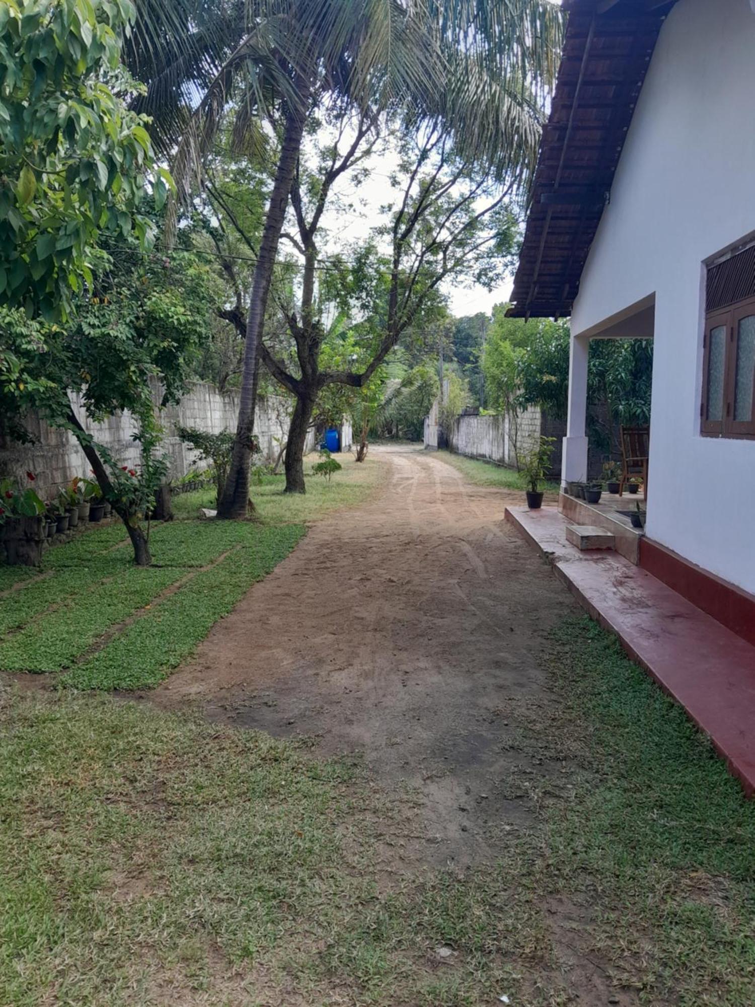 Villa 64 Katunayaka Ngoại thất bức ảnh